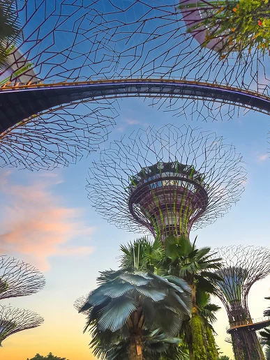 Location Card – Singapore