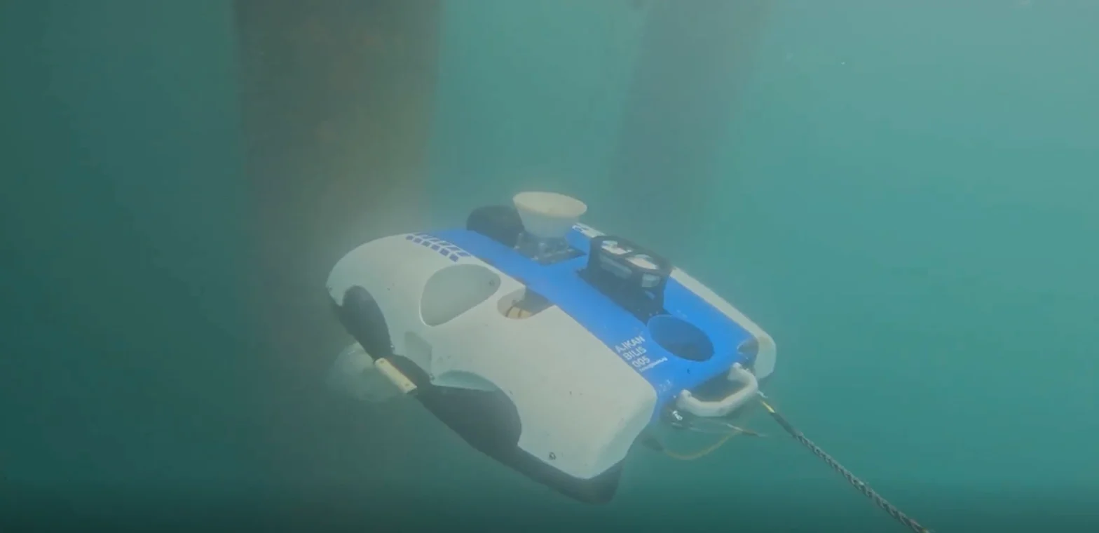 beex image4