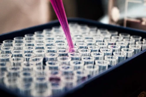 Pipetting samples in an NUS lab